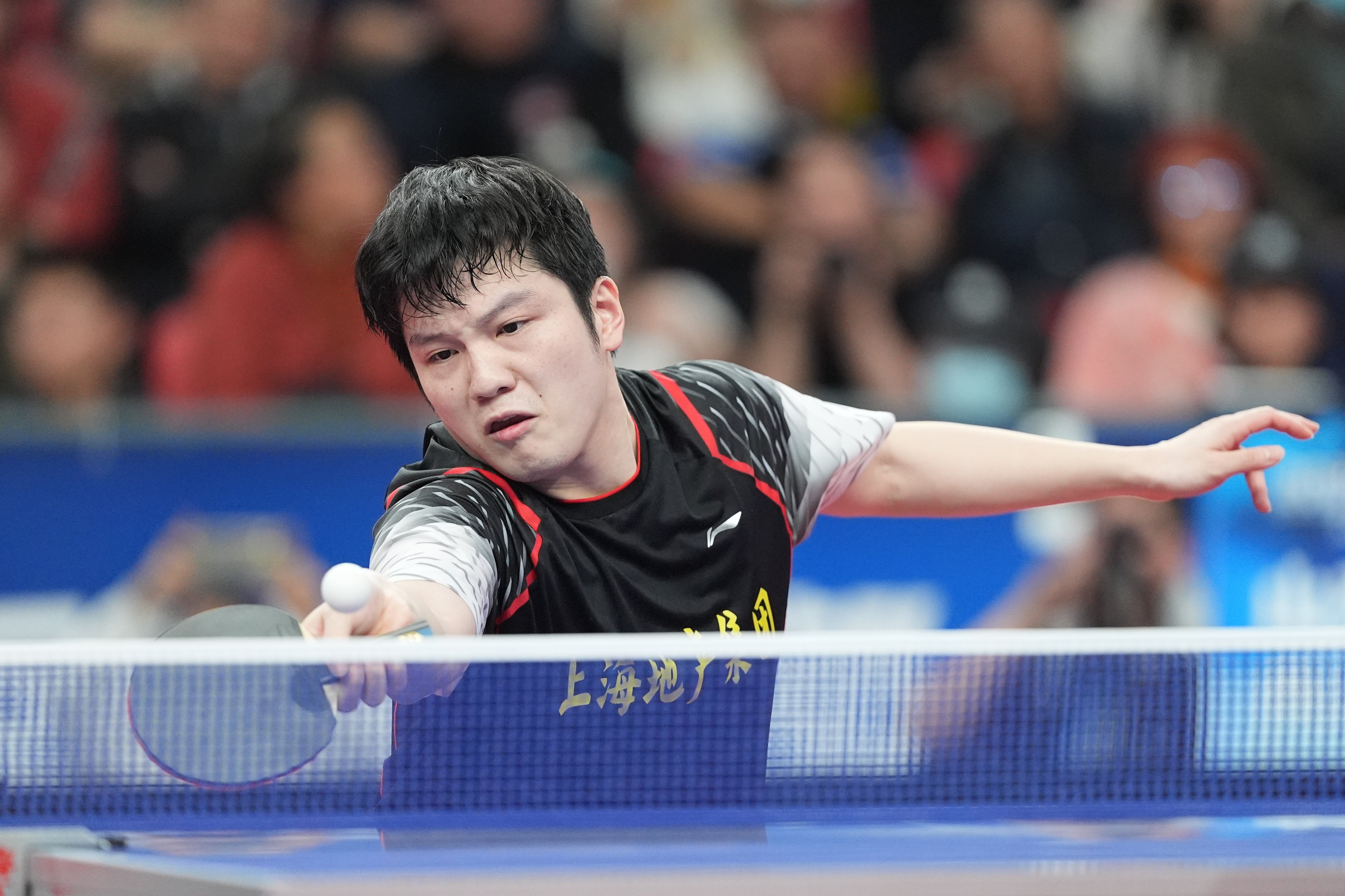 奥地利队轻取英格兰队,樊振东状态火热 奥地利队轻取英格兰队,樊振东状态火热