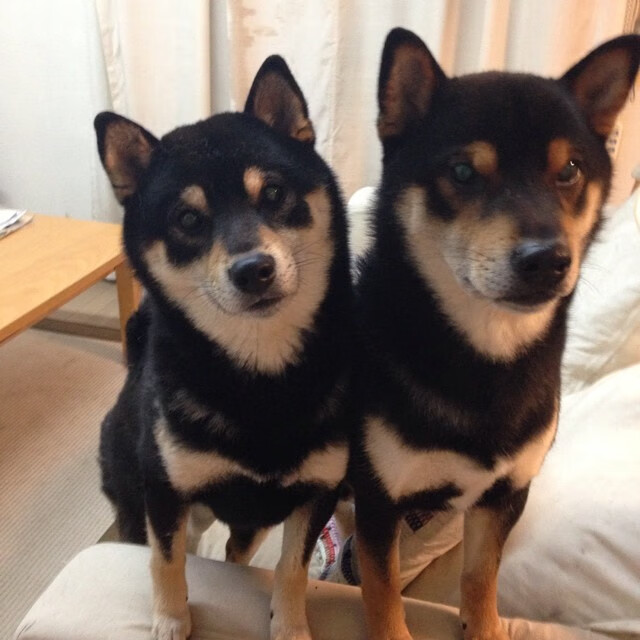 开云体育APP下载-神兵天降破僵局—保罗·乔治逆境封喉，率开拓者加时鏖战力克骑士