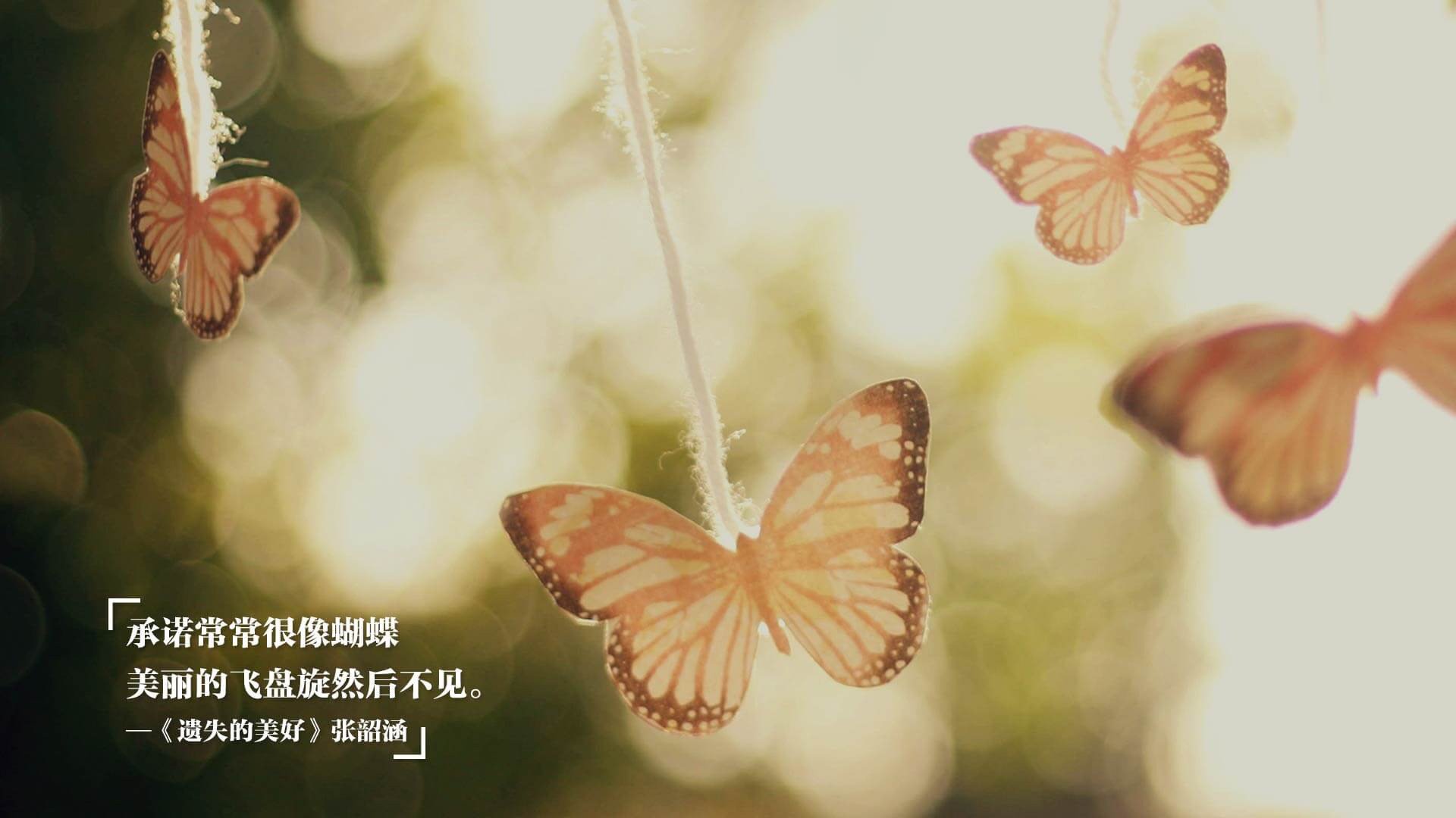 夜之征服者,努涅斯在奥运周期关键战中的封神时刻