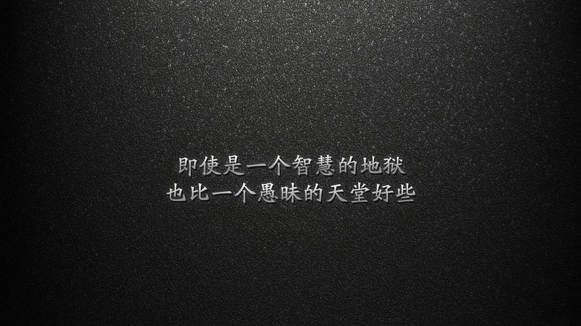 开云下载-蓝黄风暴下的孤独巨人，卢卡库独舞，厄瓜多尔以完美防守书写的世界杯A组宣言